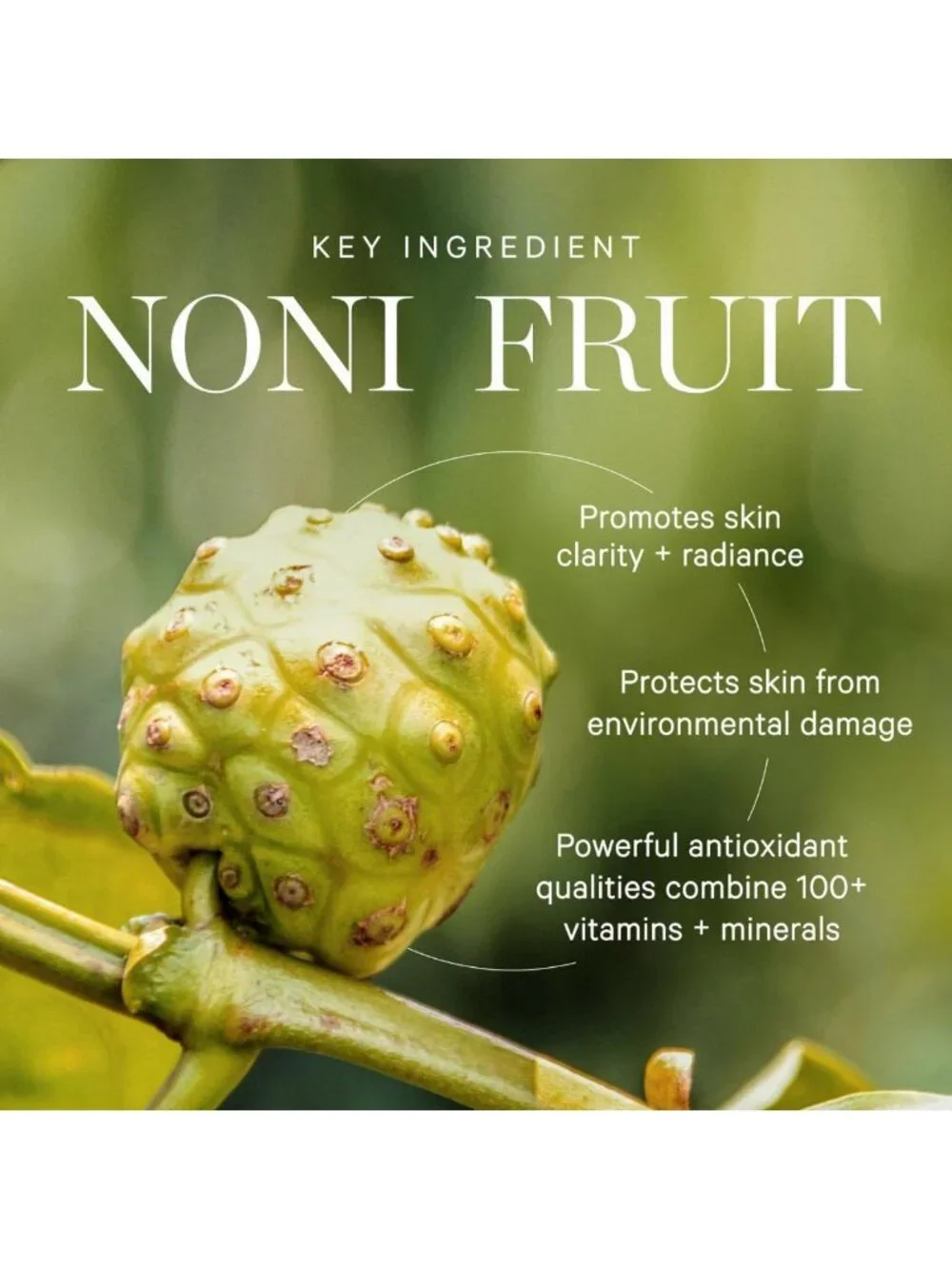 Nourishing Noni Glow Face Oil for All Skin Types - Hydrating Facial Oil